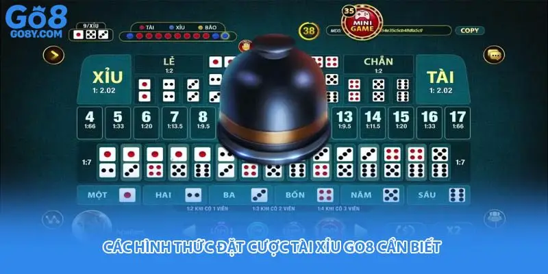 Các hình thức đặt cược tài xỉu Go8 cần biết