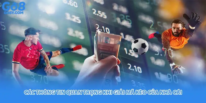 Các thông tin quan trọng khi giải mã kèo của nhà cái